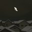 Houses (with things that've died)