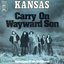 Carry on Wayward Son