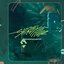 Shirley Temples/Hurricanrana - Single