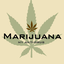 Avatar for highestgrade