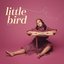 Little Bird - Single