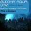 Buddha Aqua Bar (Special Edition for Lounge Bar & Chill Out Clubs)