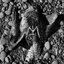 Dead Living