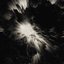 Visual Alchemy