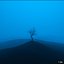 all alone
