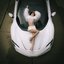 RARI - Single