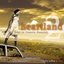 Heartland 2 - The Best In Female Country