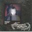 PROPERTY DAMAGE - Single