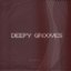 Deepy Grooves Vol. 2