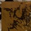 Thoughts / Black Speech / Fire Of Hate