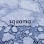 Squama