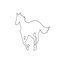 White Pony