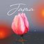Vesna - Single