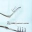 Amateur Soul Surgery