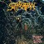 Two From the Vault: Effigy of the Forgotten / Pierced From Within