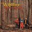 Wildfire