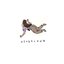 neverland - Single