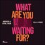 What Are You Waiting For?