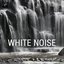 White Noise with Nature Sounds