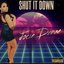 Shut It Down - Single