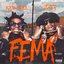 F.E.M.A.