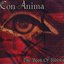 The Book of Riddles