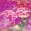 Shoegazi - Single