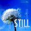 Still - Single