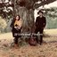 Wildwood Flower - Single