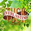 Tuck Everlasting (Original Broadway Cast Recording)