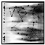 constellations