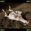 GRTV