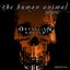Orwellian Knells (Volume Two)
