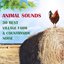 Animal Sounds: 30 Best Village Farm & Countryside Noise from Europe