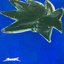 Fledgling - Single