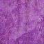 The Purple Album