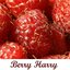 Berry Harry - disc 5