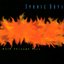 Walk Through Fire