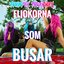 FLICKORNA SOM BUSAR