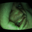 Avatar for fatzenkutter