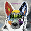 Avatar for CoolDog312