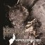 Vomica Convultions