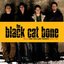 The Black Cat Bone