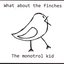What About The Finches