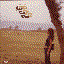 Your Picture