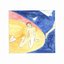 Harbor Me - Single