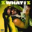 Z What I Z - Single