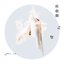 杜松樹之鳥 - Single