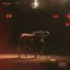 Flagrant Act of Bliss [Explicit]