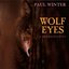 Wolf Eyes - A Retrospective